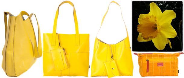 Shona Easton Yellow daffodil and bags for spring
